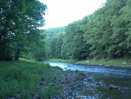 West Fork of the Greenbrier River